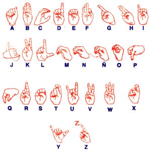 &iquest;QUE ES EL ART&Iacute;CULO?